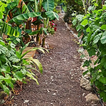 Oasis Fataga