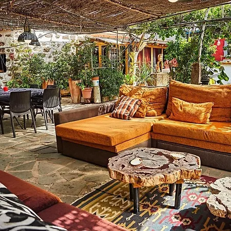 Oasis Fataga Maspalomas (Gran Canaria)